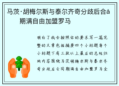 马茨·胡梅尔斯与泰尔齐奇分歧后合同期满自由加盟罗马 马茨·胡梅尔斯与泰尔齐奇分歧后合同期满自由加盟罗马