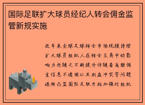 国际足联扩大球员经纪人转会佣金监管新规实施 国际足联扩大球员经纪人转会佣金监管新规实施