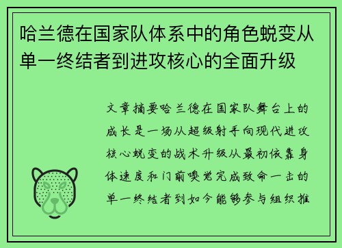 哈兰德在国家队体系中的角色蜕变从单一终结者到进攻核心的全面升级